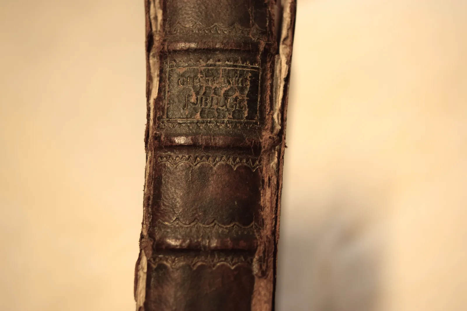 Het geestelyck jubilee (1663)