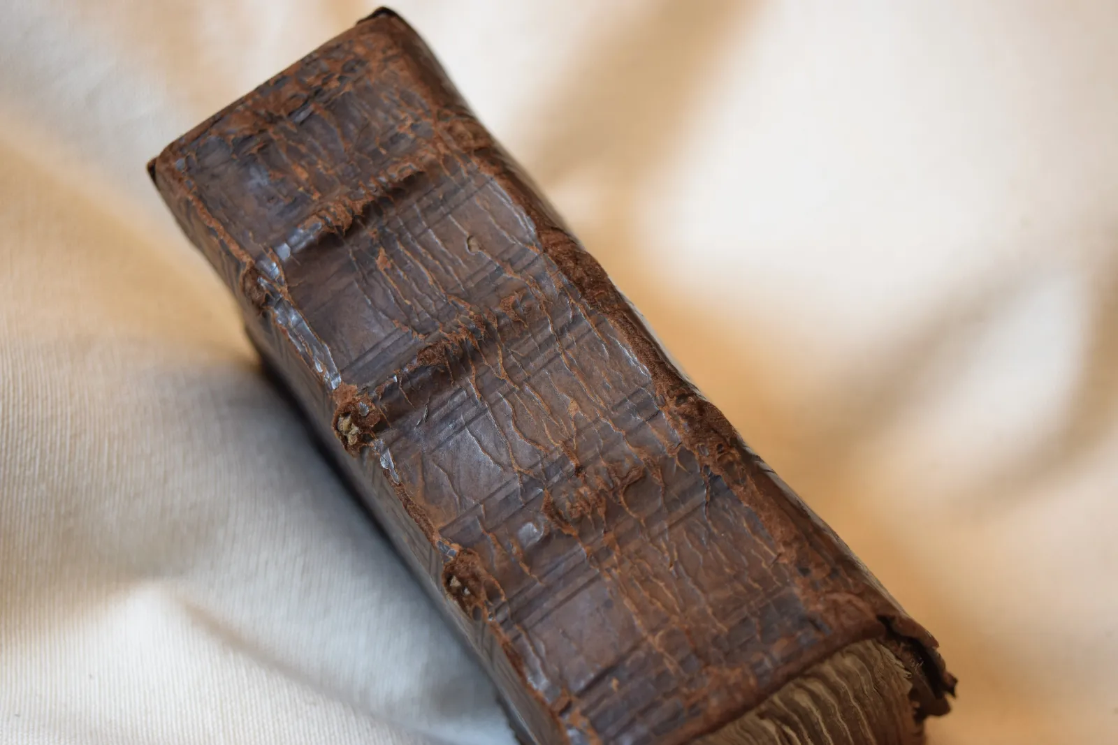 Het paradys der gheestelycke en kerckelycke lof-sangen (1638?)